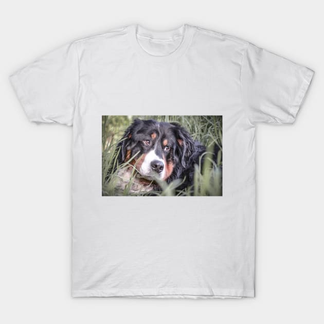Bernie dog gift T-Shirt by Anna-Kik